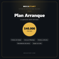MECASTART Gestión — Plan Arranque (1 mes)